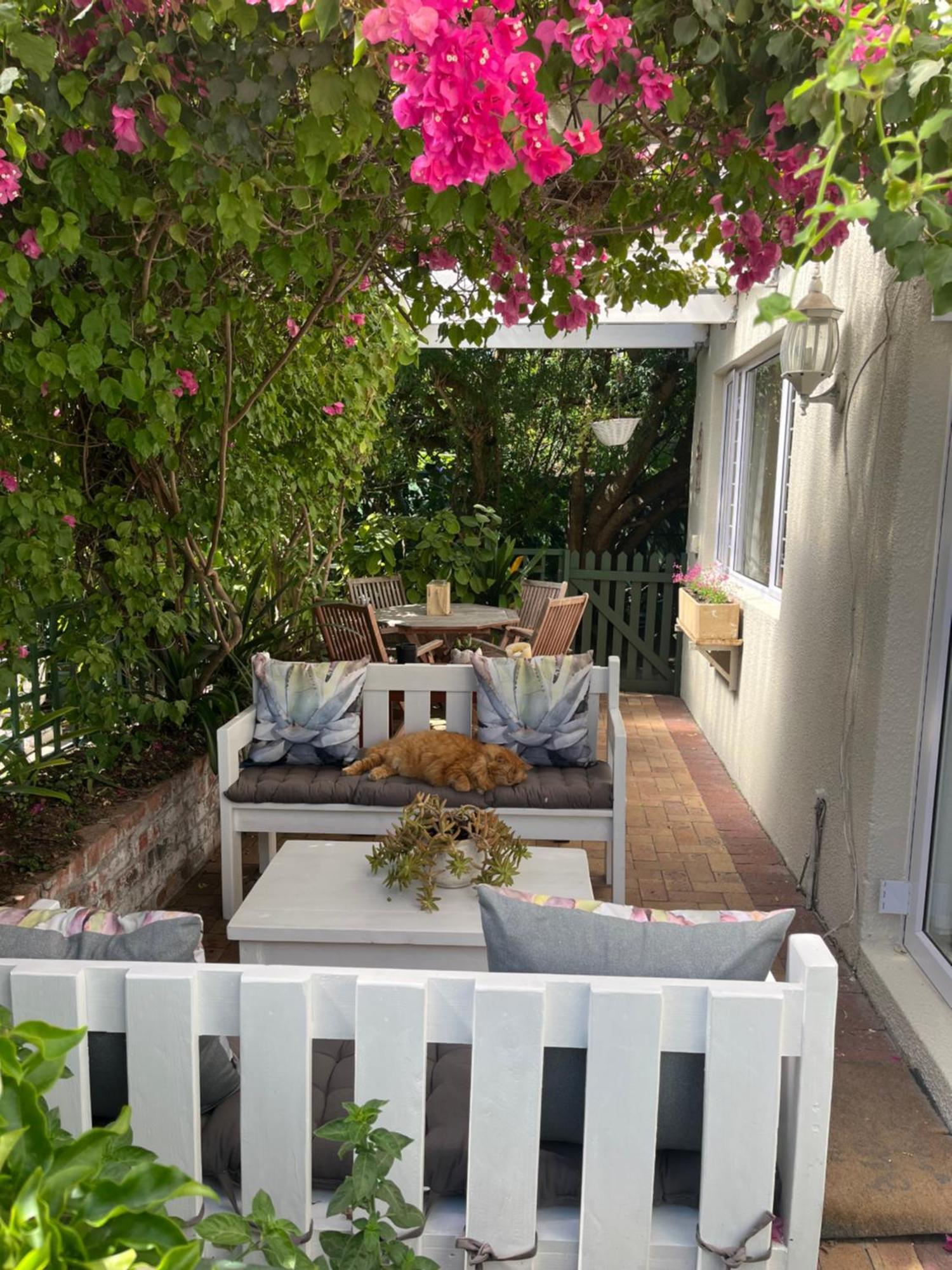 On Broadwalk Cottage Cape Town Dış mekan fotoğraf